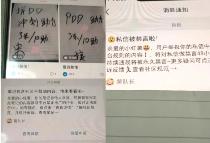 拼多多助力砍价赚钱项目，日赚300-1k，暴利玩法，成本极低！（适合的宝妈保姆级项目）  赚钱项目 手机赚钱 副业项目 手机赚钱项目 免费赚钱软件 2023年赚钱项目 拼多多帮砍项目 拼多多助力项目 拼多多赚钱项目 手赚APP 手机赚钱软件 暴富项目 推荐项目 第15张