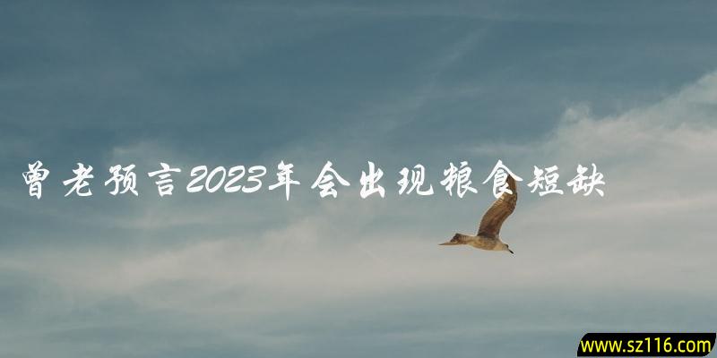 曾老预言2023年会出现粮食短缺吗？