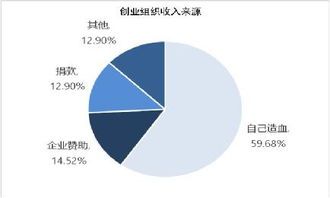 公益创业指什么项目类别