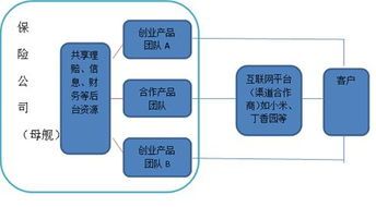 低成本创业保险是什么险种