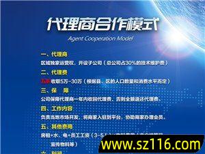 有哪些网上创业项目，网上创业项目排行榜前十名