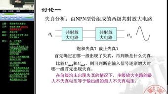 新森林创业模式是什么模式